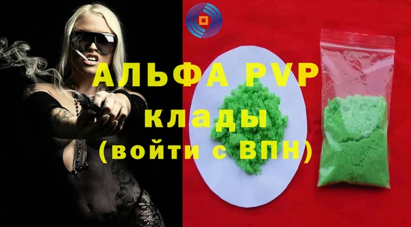 спайс Корсаков