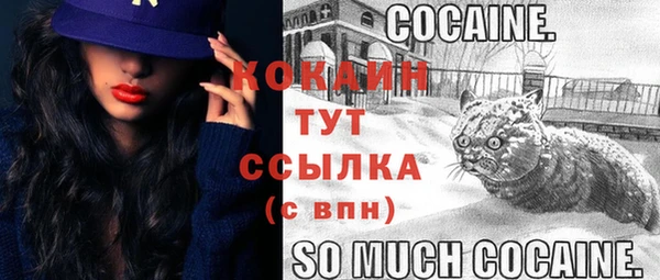 spice Коряжма