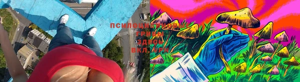 спайс Корсаков