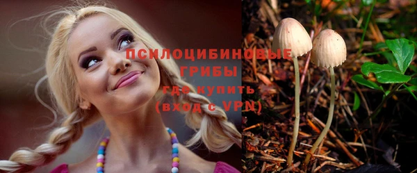 спайс Корсаков