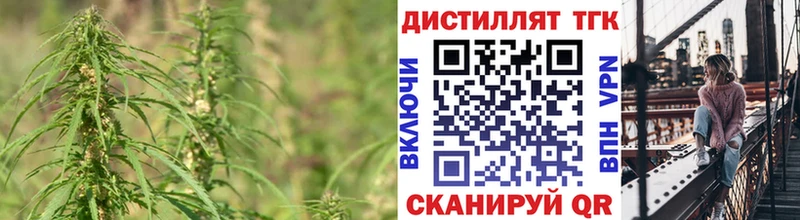 где продают наркотики  Балаково  Дистиллят ТГК THC oil 