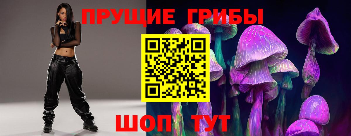 Балаково  Псилоцибиновые грибы Psilocybine cubensis  Псилоцибиновые грибы Cubensis  Вход с VPN 