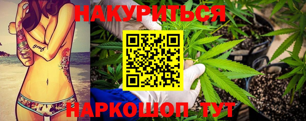 Шишки марихуана Amnesia  Шишки марихуана план  Балаково  Шишки марихуана Ganja 
